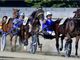 Un sabato con il circuito “Delle Stelle” all'ippodromo di Vinovo