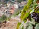 Comune di montagna ripreso dall'alto