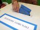 Nel Torinese 17 Comuni al voto: quali sono e quando si svolgeranno le elezioni