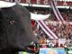 curva Maratona e locandina ultras