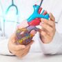 Insufficienza cardiaca, studio Anmco ha valutato risposta pazienti a 4 pilastri terapeutici