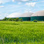 Biogas: si apre una nuova filiera tecnologica per il ritiro dell'energia dai produttori Biogas: si apre una nuova filiera tecnologica per il ritiro dell'energia dai produttori