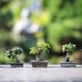Aria di primavera a Cumiana per ‘Natura in festa’