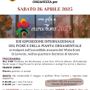 Ultimi posti disponibili per la gita a EuroFlora 2025 con la Pro Loco di Bricherasio