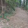 La pista ripulita