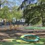 Pinerolo inaugura oggi pomeriggio la sua prima ‘Giungla urbana’