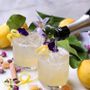 Sfide tra cappuccini e cocktail sparkling al Cfiq di Frossasco