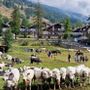 Due giorni per Miss Mucca e Miss Manza, elette tra gli applausi a Pragelato