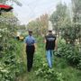 Pinerolese, controlli nelle aziende agricole