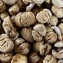 Azienda Agricola Marco Bozzolo: investire sulle castagne per custodire i castagneti Azienda Agricola Marco Bozzolo: investire sulle castagne per custodire i castagneti
