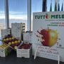 Il tempo di Tuttomele: Cavour si prepara per la 46esima edizione della Fiera Nazionale [VIDEO]