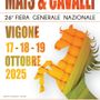 Torna Mais &amp; Cavalli e Vigone si trasforma in un’arena di spettacoli equestri e buona musica