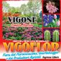 Fiori, arte e partecipazione: Vigoflor accende Vigone Fiori, arte e partecipazione: Vigoflor accende Vigone