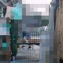 Le immagini delle telecamere la mattina prima del fatto Le immagini delle telecamere la mattina prima del fatto