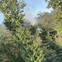Luserna San Giovanni: fiamme nel bosco del Bric di Bandì Luserna San Giovanni: fiamme nel bosco del Bric di Bandì