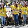Vent’anni di Poujà: da stasera Bobbio Pellice celebra la salita agli alpeggi Vent’anni di Poujà: da stasera Bobbio Pellice celebra la salita agli alpeggi
