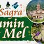 L'eccellenza del Toumin dal Mel in vetrina per la storica sagra di inizio agosto L'eccellenza del Toumin dal Mel in vetrina per la storica sagra di inizio agosto