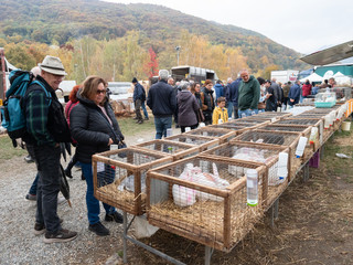(Foto di Christian Bosio) (Foto di Christian Bosio)