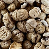 Azienda Agricola Marco Bozzolo: investire sulle castagne per custodire i castagneti