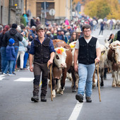 (Foto di Christian Bosio) (Foto di Christian Bosio)