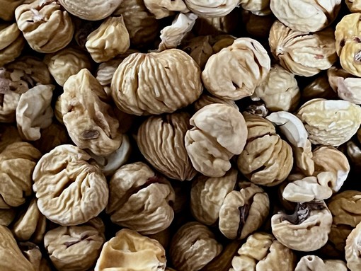 Azienda Agricola Marco Bozzolo: investire sulle castagne per custodire i castagneti Azienda Agricola Marco Bozzolo: investire sulle castagne per custodire i castagneti