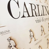 Carlin de Paolo: quattro fratelli e una cantina capace di raccontare un territorio in crescita
