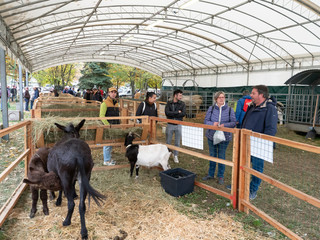 (Foto di Christian Bosio) (Foto di Christian Bosio)