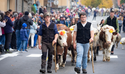 (Foto di Christian Bosio)