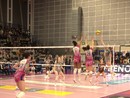 Volley A1/F: la Wash4green Pinerolo mette nel retino le farfalle Volley A1/F: la Wash4green Pinerolo mette nel retino le farfalle