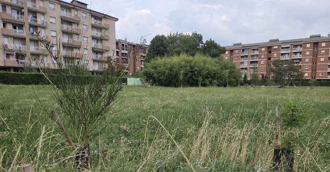 Il Bosco urbano partecipato di Pinerolo ora diventa un’eredità