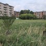 Il Bosco urbano partecipato di Pinerolo ora diventa un’eredità
