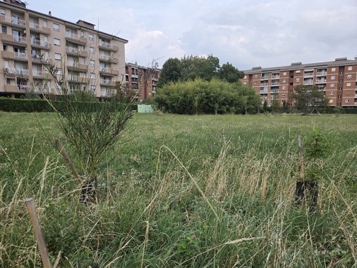 Il Bosco urbano partecipato di Pinerolo ora diventa un’eredità