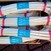 Mostra Mercato del Porro lungo e dolce di Carmagnola: tradizione, gusto e orgoglio piemontese