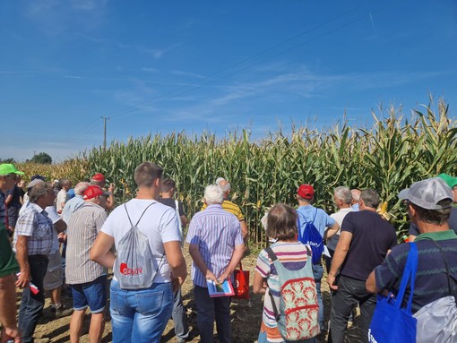 (Foto di repertorio)