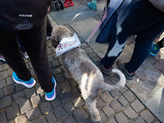 (Foto di Christian Bosio) (Foto di Christian Bosio)