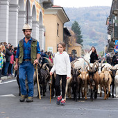 (Foto di Christian Bosio)