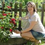 La rosa simbolo del mese di maggio
