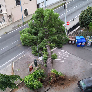 Foto di Marco Andruetto - tratta dalla pagina Facebook "Sei di Piossasco se.."