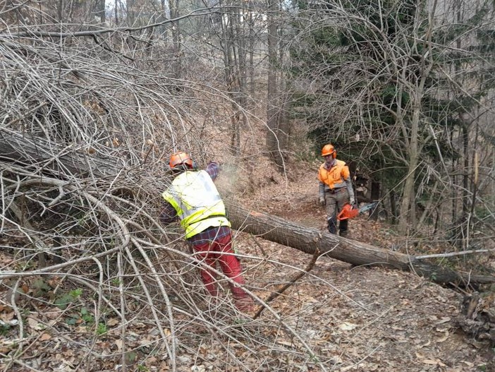 I volontari al lavoro