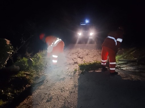 Alberi e grossi rami sulle strade: Angrogna alle prese con l’emergenza