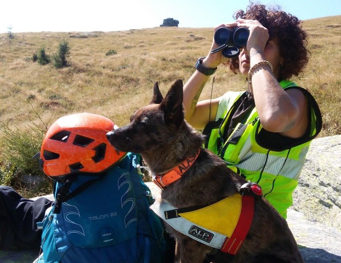 Alaska, il cane che ritrovò un anziano disperso, tra rovi e ortiche