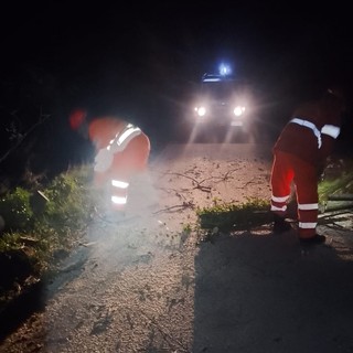 Alberi e grossi rami sulle strade: Angrogna alle prese con l’emergenza