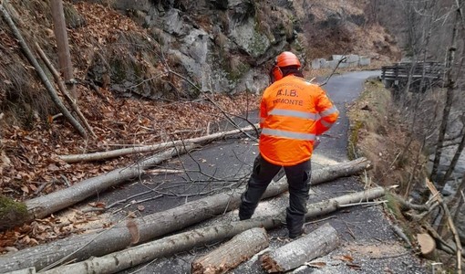 Quando i boschi cambiano e l’acqua fa paura: mezzo secolo di Aib e Protezione civile a Villar Pellice