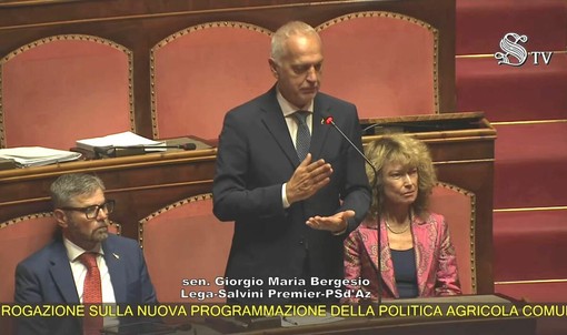 Giorgio Maria Bergesio