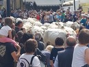 (Foto di repertorio)