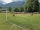 Il torneo di Walking Football di Luserna San Giovanni diventa internazionale