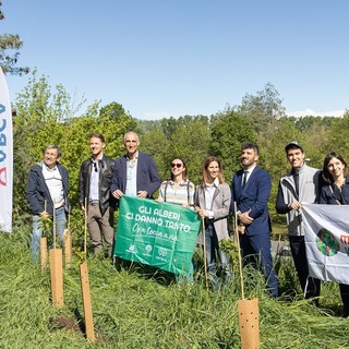 A Torino messe a dimora  750 piante per rigenerare cinque aree verdi urbane  grazie ad Arca Fondi SGR  e Gruppo BPER