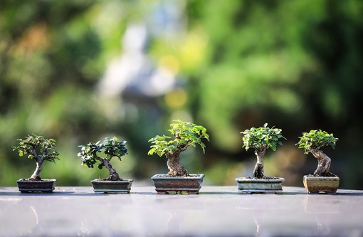 Aria di primavera a Cumiana per ‘Natura in festa’