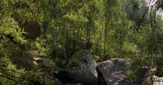 Il caldo spinge l’assalto ai tumpi: pioggia di multe per divieto di sosta