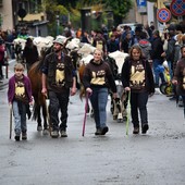 (Foto di repertorio)